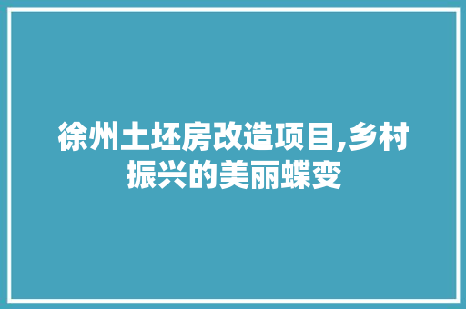 徐州土坯房改造项目,乡村振兴的美丽蝶变