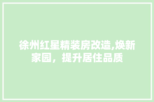 徐州红星精装房改造,焕新家园，提升居住品质