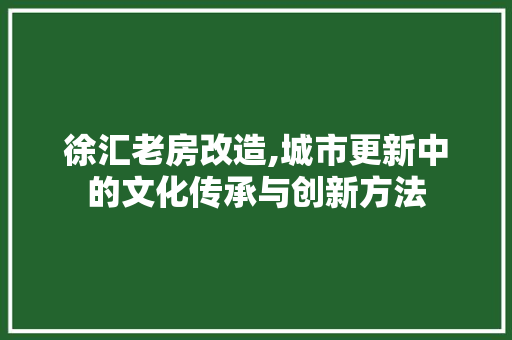 徐汇老房改造,城市更新中的文化传承与创新方法