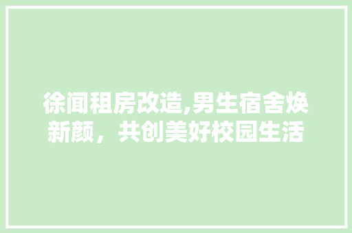 徐闻租房改造,男生宿舍焕新颜，共创美好校园生活