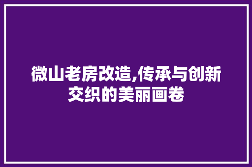 微山老房改造,传承与创新交织的美丽画卷