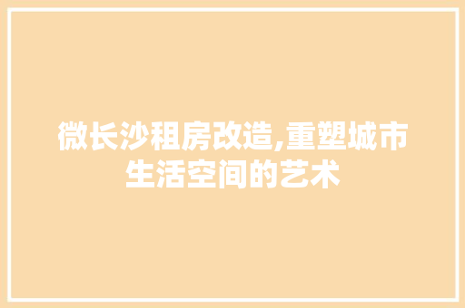 微长沙租房改造,重塑城市生活空间的艺术