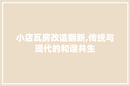 小店瓦房改造翻新,传统与现代的和谐共生