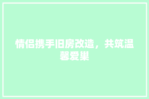 情侣携手旧房改造，共筑温馨爱巢
