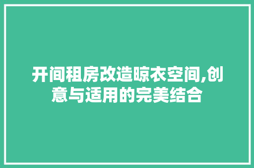 开间租房改造晾衣空间,创意与适用的完美结合