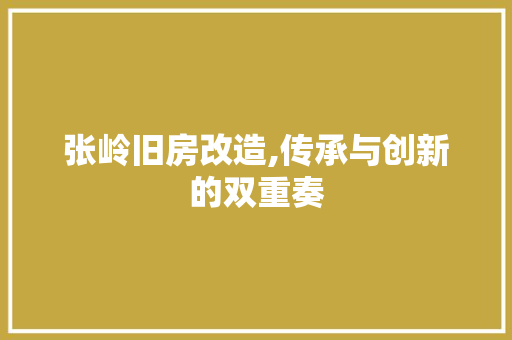 张岭旧房改造,传承与创新的双重奏