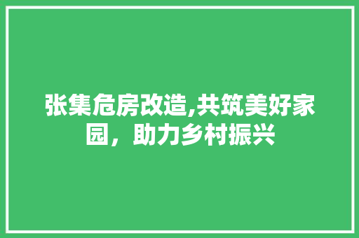 张集危房改造,共筑美好家园，助力乡村振兴