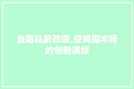 当阳私房改造,空间魔术师的创新演绎