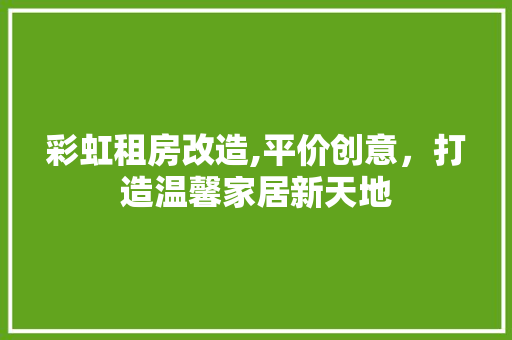 彩虹租房改造,平价创意，打造温馨家居新天地