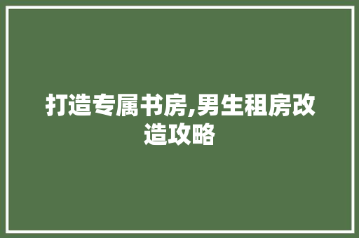 打造专属书房,男生租房改造攻略