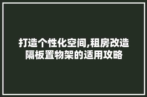 打造个性化空间,租房改造隔板置物架的适用攻略