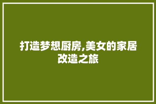 打造梦想厨房,美女的家居改造之旅