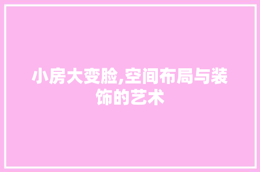 小房大变脸,空间布局与装饰的艺术