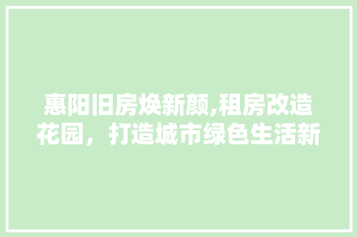 惠阳旧房焕新颜,租房改造花园，打造城市绿色生活新典范