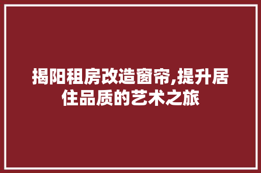 揭阳租房改造窗帘,提升居住品质的艺术之旅