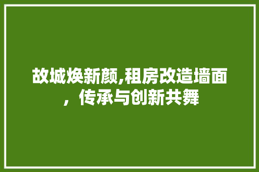 故城焕新颜,租房改造墙面，传承与创新共舞