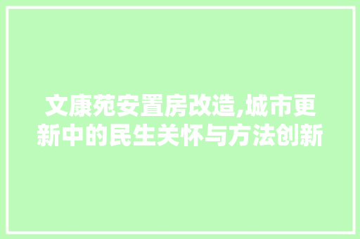 文康苑安置房改造,城市更新中的民生关怀与方法创新