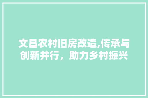 文昌农村旧房改造,传承与创新并行，助力乡村振兴