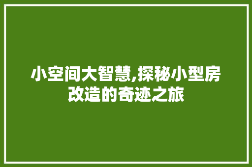 小空间大智慧,探秘小型房改造的奇迹之旅