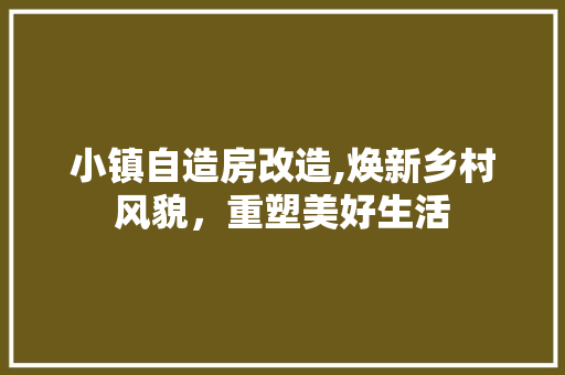 小镇自造房改造,焕新乡村风貌，重塑美好生活