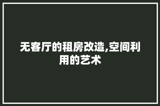 无客厅的租房改造,空间利用的艺术