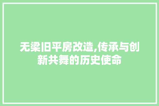 无梁旧平房改造,传承与创新共舞的历史使命