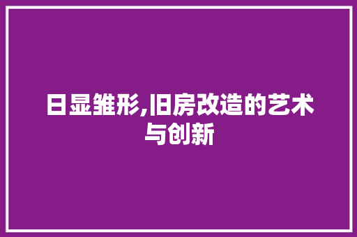 日显雏形,旧房改造的艺术与创新