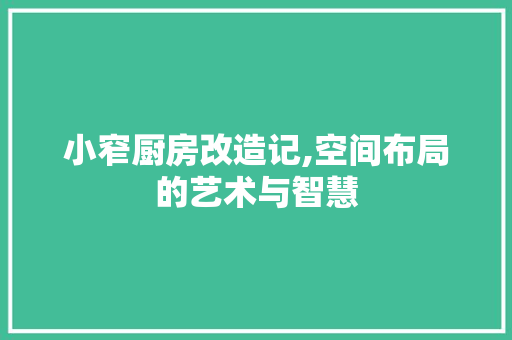 小窄厨房改造记,空间布局的艺术与智慧