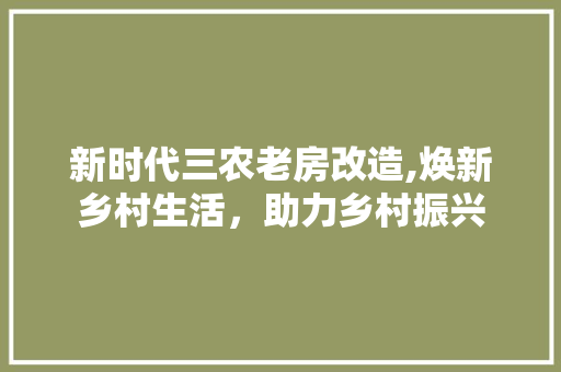 新时代三农老房改造,焕新乡村生活，助力乡村振兴