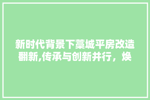 新时代背景下藁城平房改造翻新,传承与创新并行，焕发古城新活力