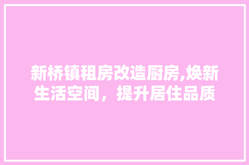 新桥镇租房改造厨房,焕新生活空间，提升居住品质