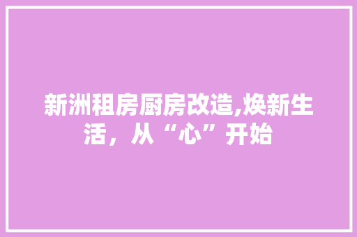 新洲租房厨房改造,焕新生活，从“心”开始