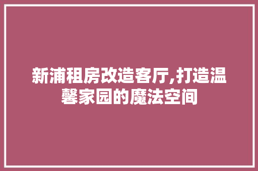 新浦租房改造客厅,打造温馨家园的魔法空间