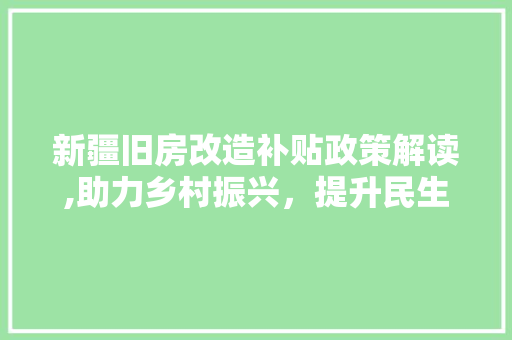 新疆旧房改造补贴政策解读,助力乡村振兴，提升民生福祉