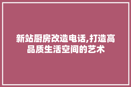 新站厨房改造电话,打造高品质生活空间的艺术