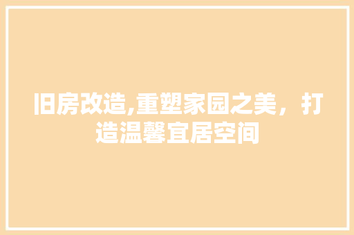 旧房改造,重塑家园之美，打造温馨宜居空间