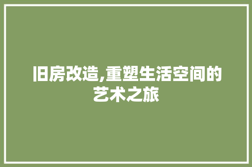 旧房改造,重塑生活空间的艺术之旅