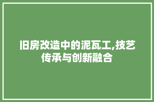 旧房改造中的泥瓦工,技艺传承与创新融合