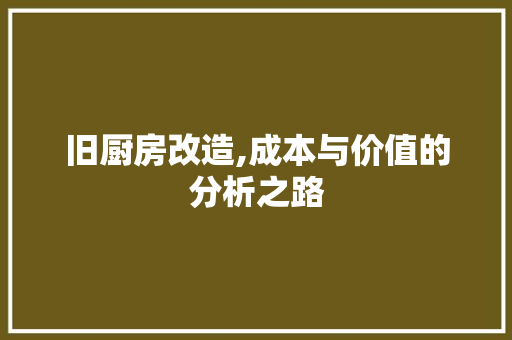 旧厨房改造,成本与价值的分析之路