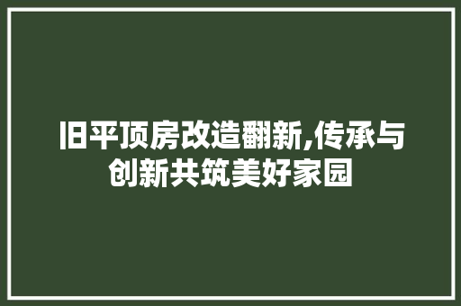 旧平顶房改造翻新,传承与创新共筑美好家园