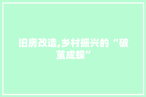 旧房改造,乡村振兴的“破茧成蝶”