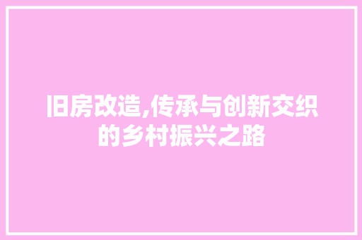 旧房改造,传承与创新交织的乡村振兴之路