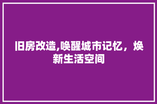 旧房改造,唤醒城市记忆，焕新生活空间