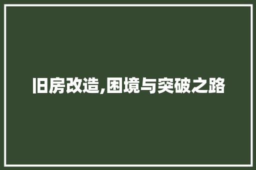 旧房改造,困境与突破之路