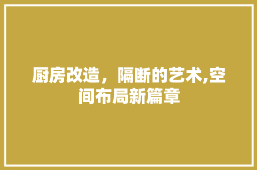 厨房改造，隔断的艺术,空间布局新篇章