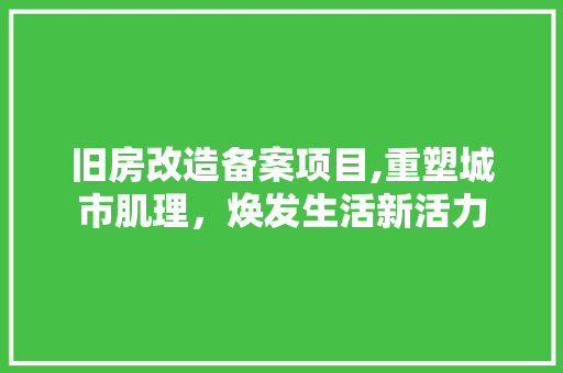 旧房改造备案项目,重塑城市肌理，焕发生活新活力
