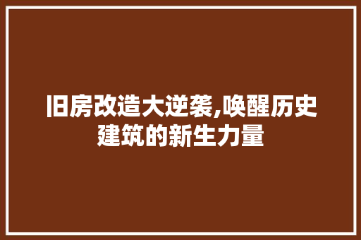 旧房改造大逆袭,唤醒历史建筑的新生力量