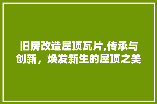 旧房改造屋顶瓦片,传承与创新，焕发新生的屋顶之美