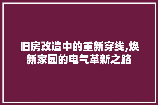 旧房改造中的重新穿线,焕新家园的电气革新之路
