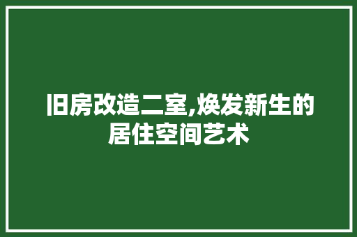 旧房改造二室,焕发新生的居住空间艺术